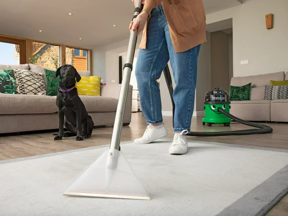Henry George Carpet Cleaning Vacuum Performance - MyHenry USA