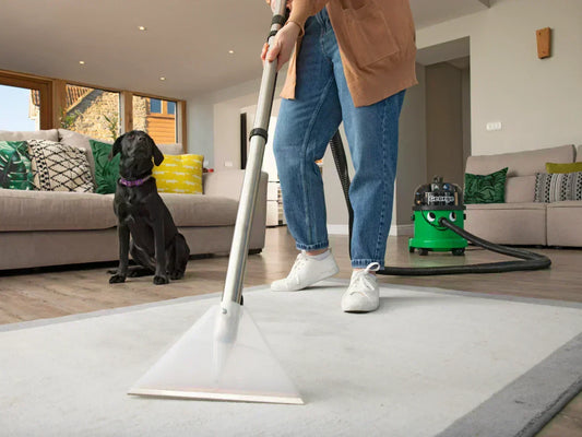Henry George Carpet Cleaning Vacuum Performance - MyHenry USA