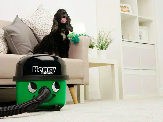 Vacuum Cleaner For Pet Hair Guide - MyHenry USA
