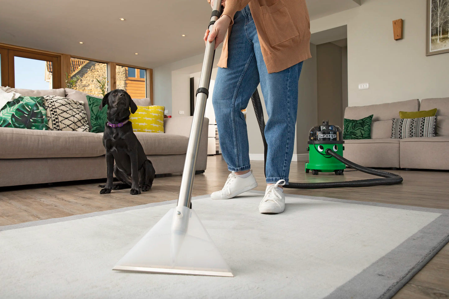 Carpet Cleaner - My Henry USA