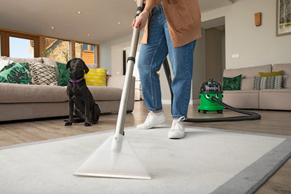 Carpet Cleaner - My Henry USA