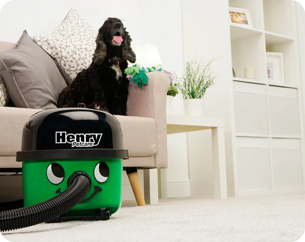 Henry Petcare 160 For Pet-Friendly Homes - MyHenry U.S.A