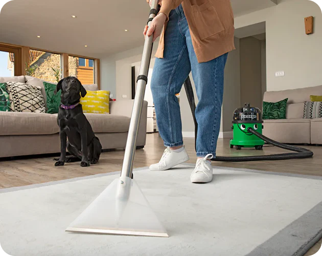 Henry Petcare 160 From Floor To Dog Bed - MyHenry U.S.A