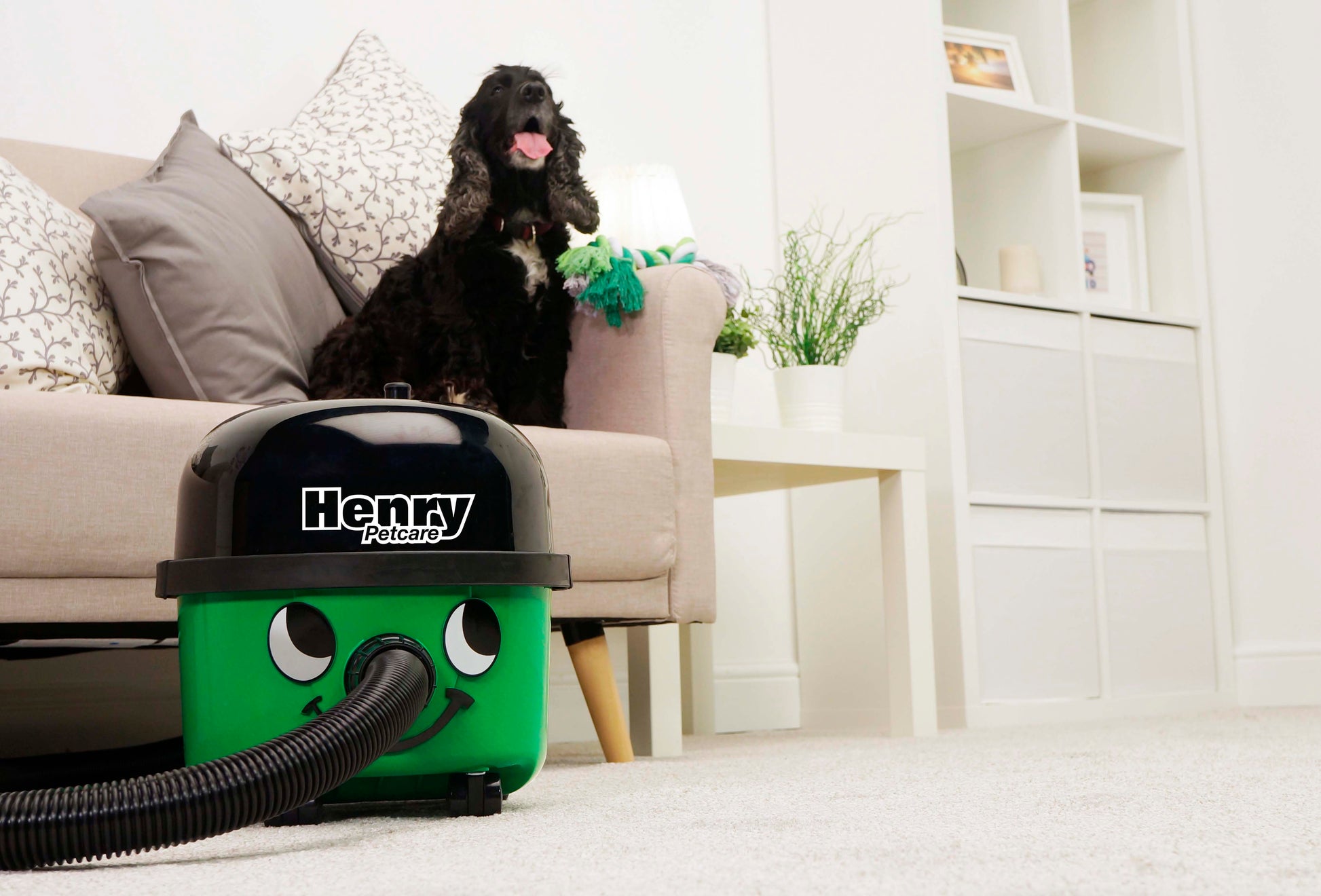 Henry PetCare 160 Lifestyle Home Cleaning Scene - My Henry USA
