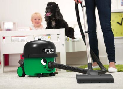 Henry PetCare 160 Living Room Cleaning Setup - My Henry USA